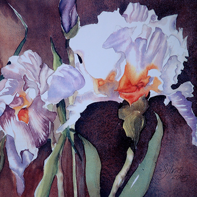 Sylvia Benson orchids and irises 2 – White Bear Center for the Arts