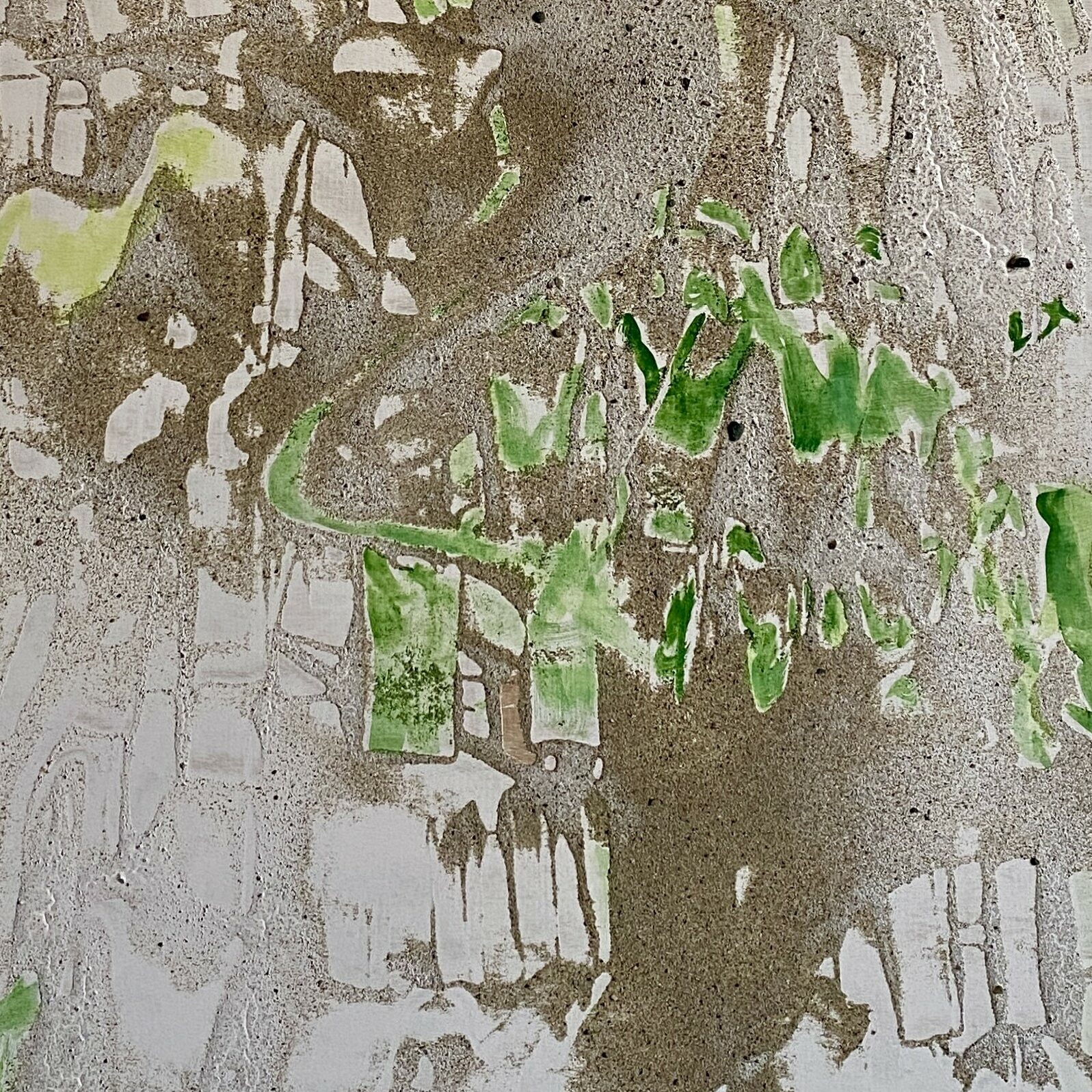 Soil Song Bri Harrington