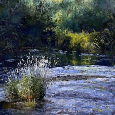 Peterson_Wendy_Pastel Painting_ Developing Your Skills