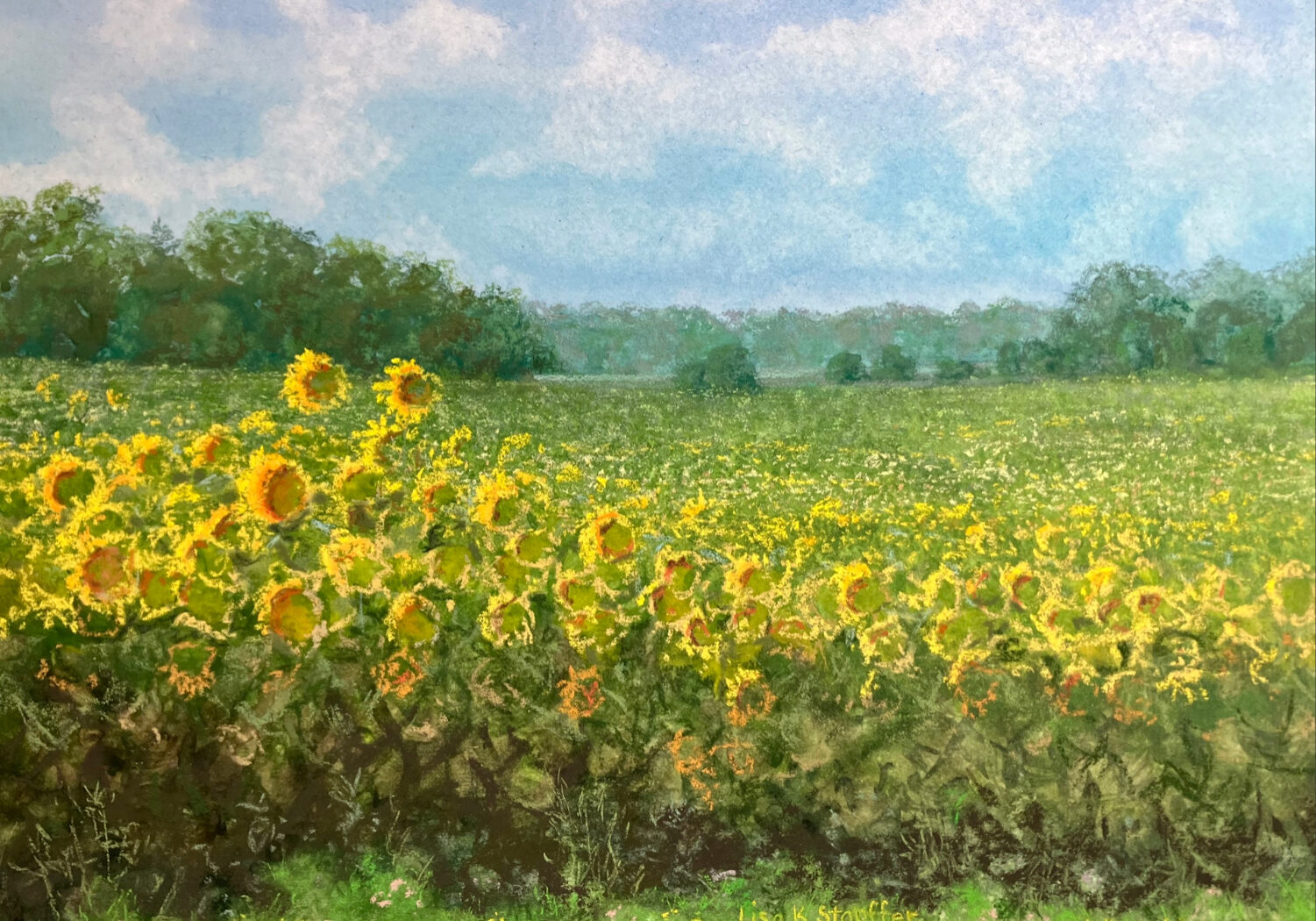 Stauffer_L_SunflowerSea (1)