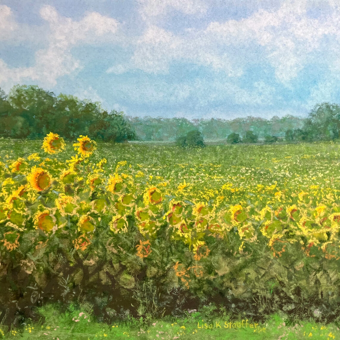 Stauffer_L_SunflowerSea (1)